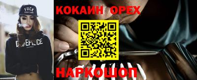 гашик Можга