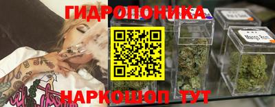 гашик Можга