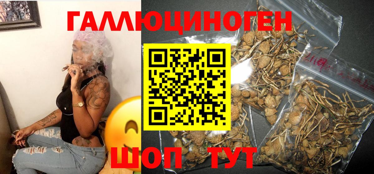 Метамфетамин  Гашиш  Каннабис  Cocaine  МАРИХУАНА  NBOMe  Меф кристаллы  Сегежа  Вход с VPN 