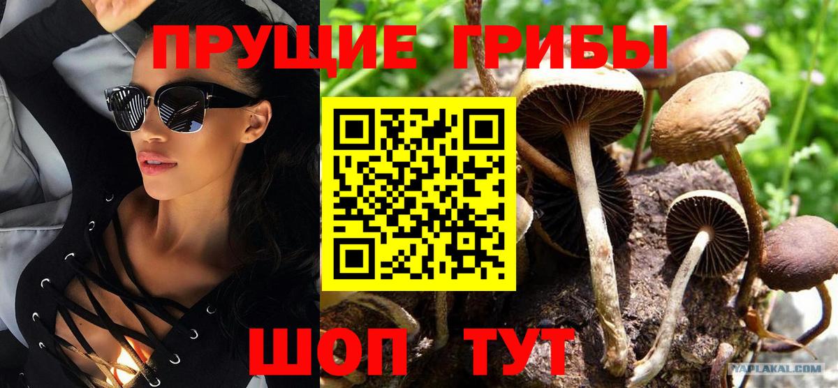 Псилоцибиновые грибы Magic Shrooms  Вход с VPN  Сегежа 