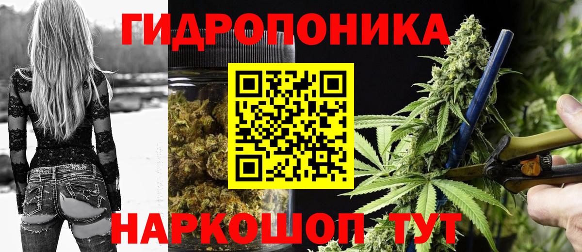 Конопля Amnesia Сегежа